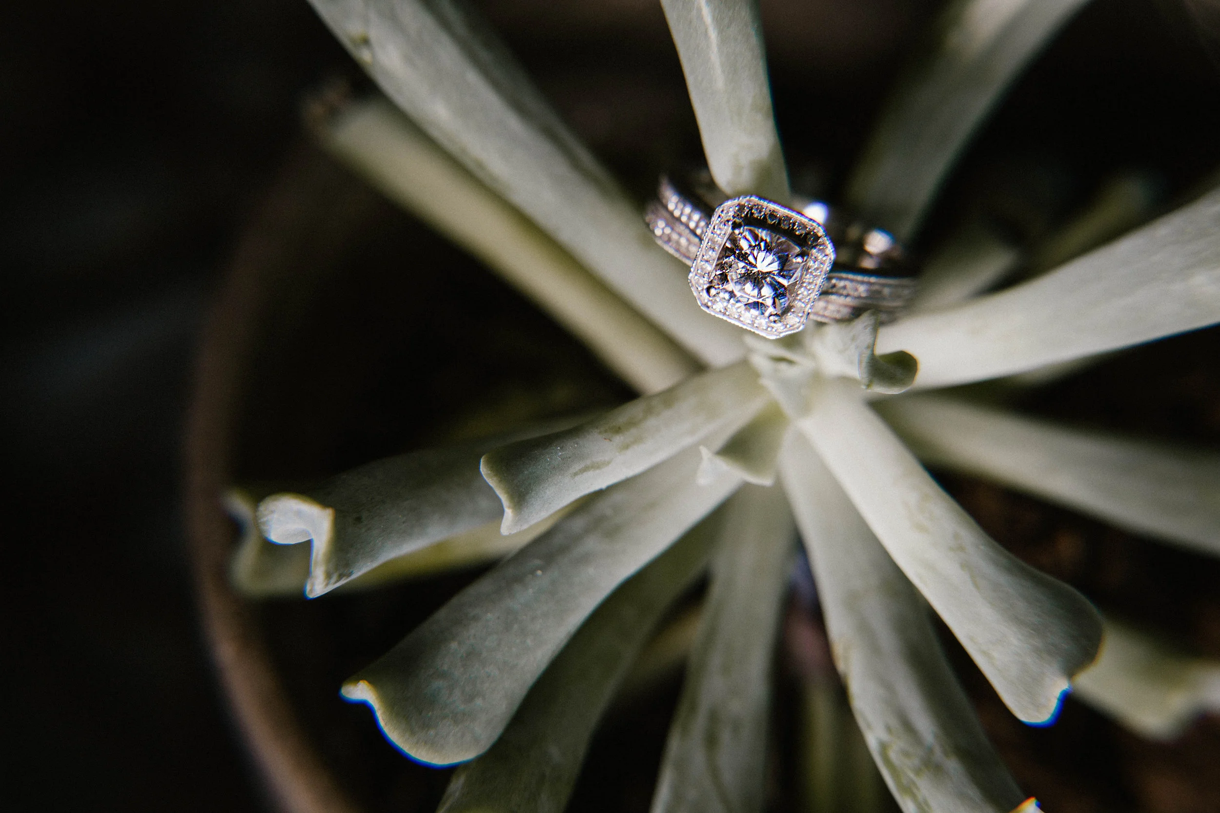 Southern New Hampshire Wedding Photographer
