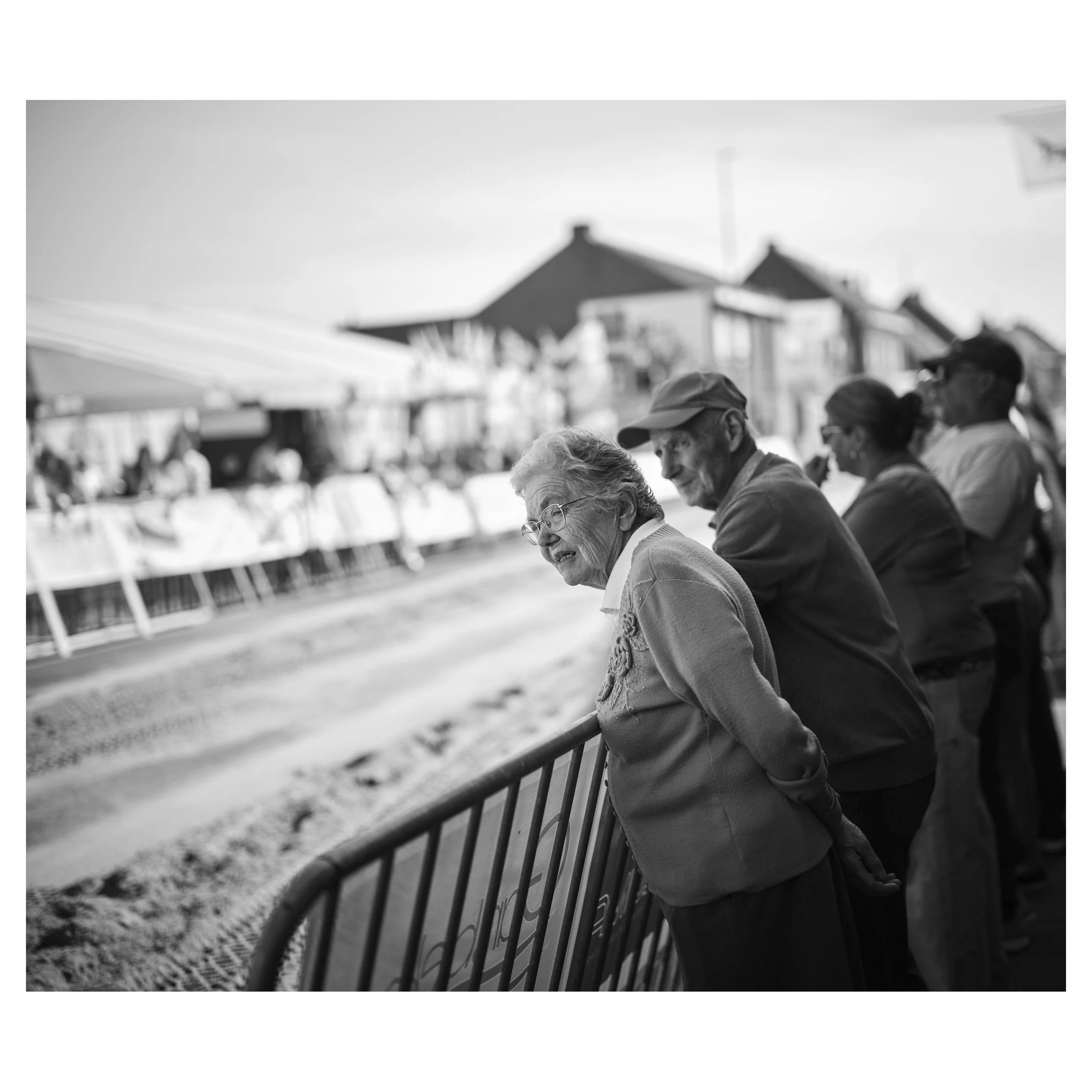 Winkel Koerse - Horse spotting