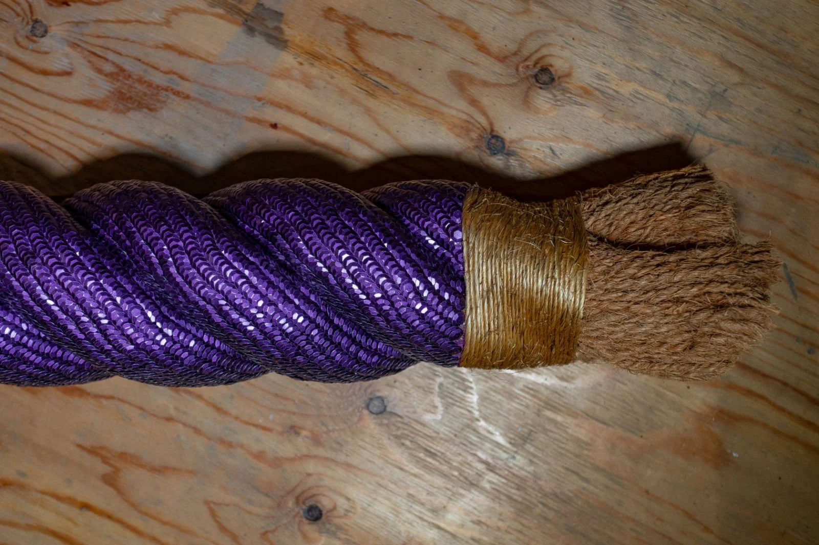 Abigail_Simmonds_The Difference_Between_Us_01.jpg