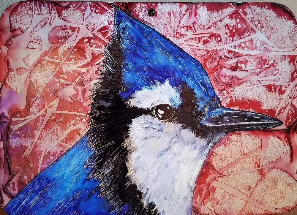blue jay small.jpg