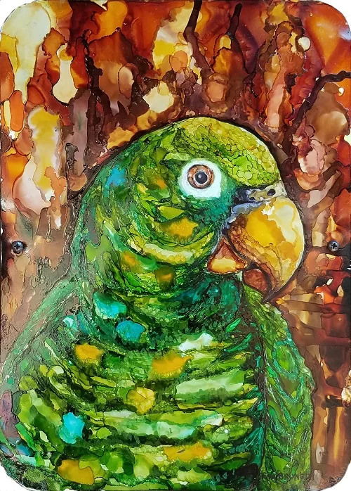 parrot small.jpg