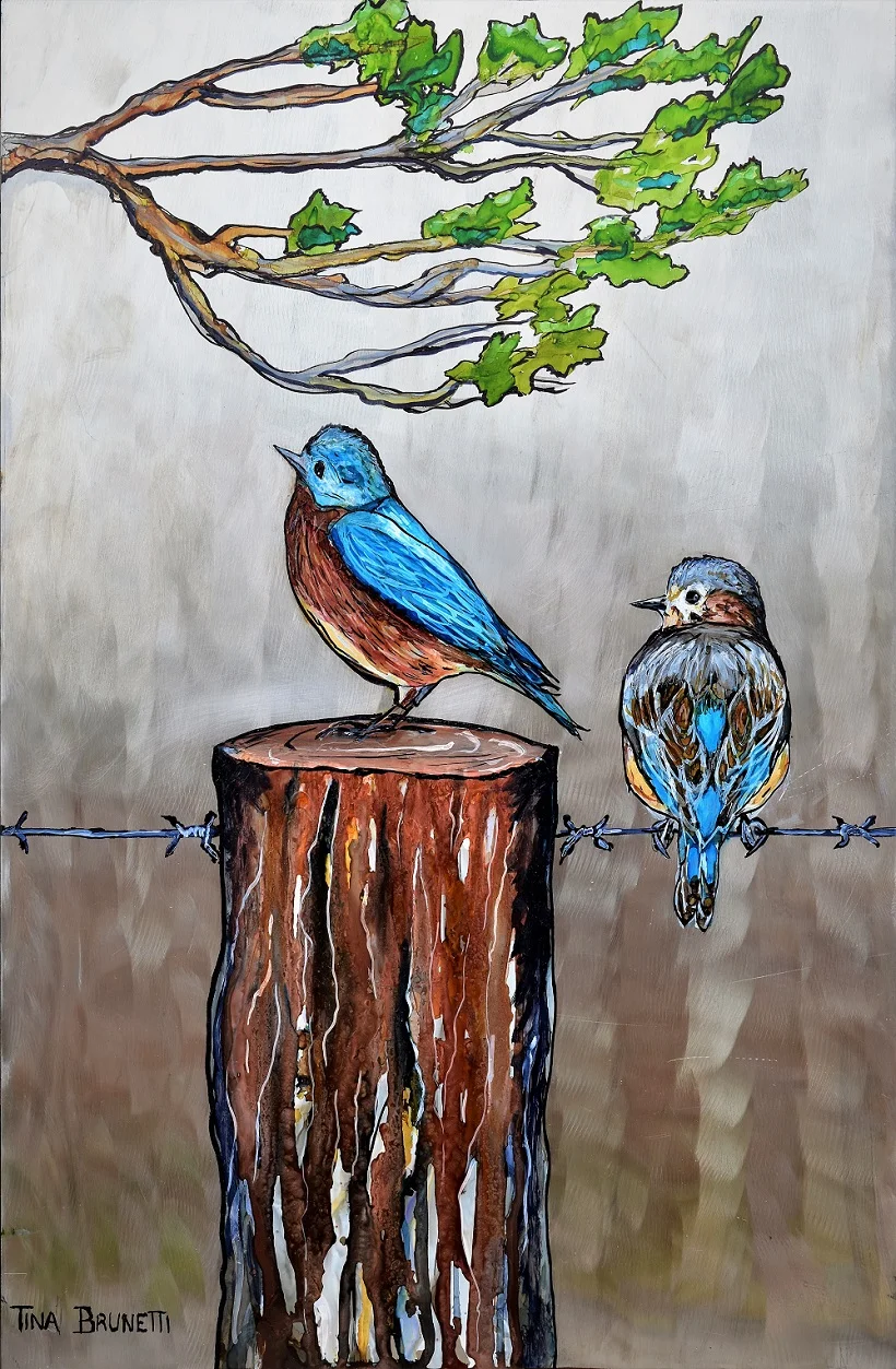 Bluebirds websute.jpg