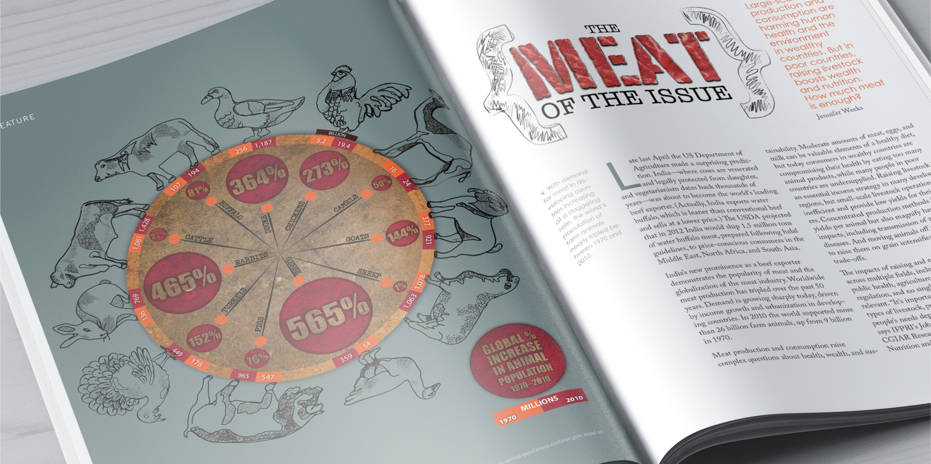 IFPRI | INSIGHTS MAGAZINE