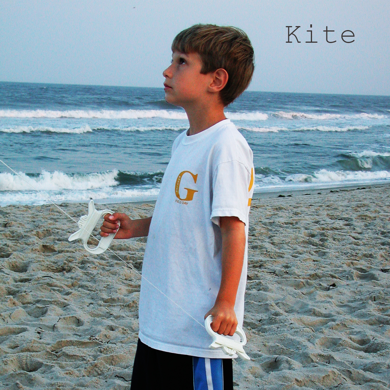 Kite Cover final.jpg