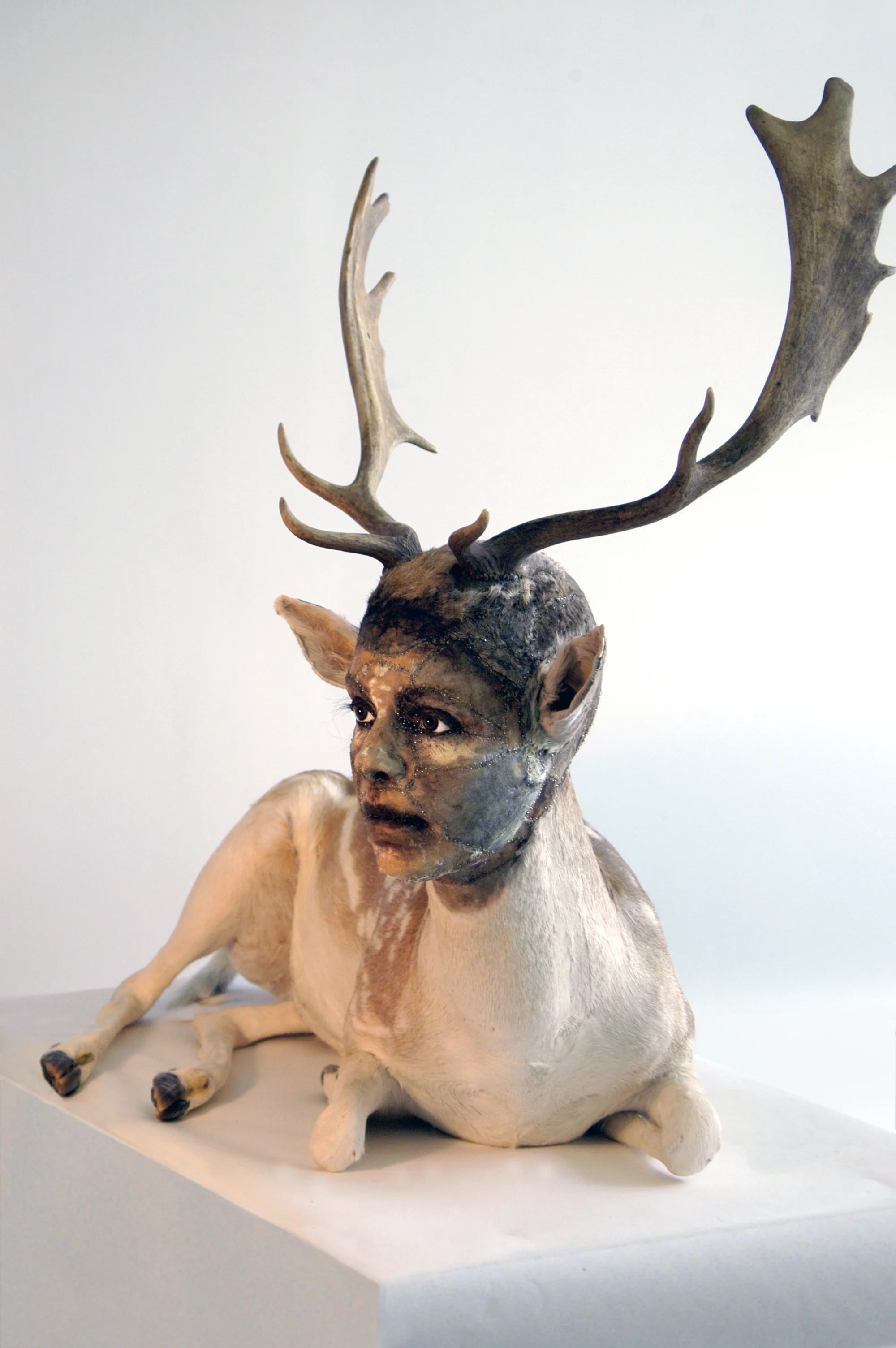 Untitled Fallow deer.jpg