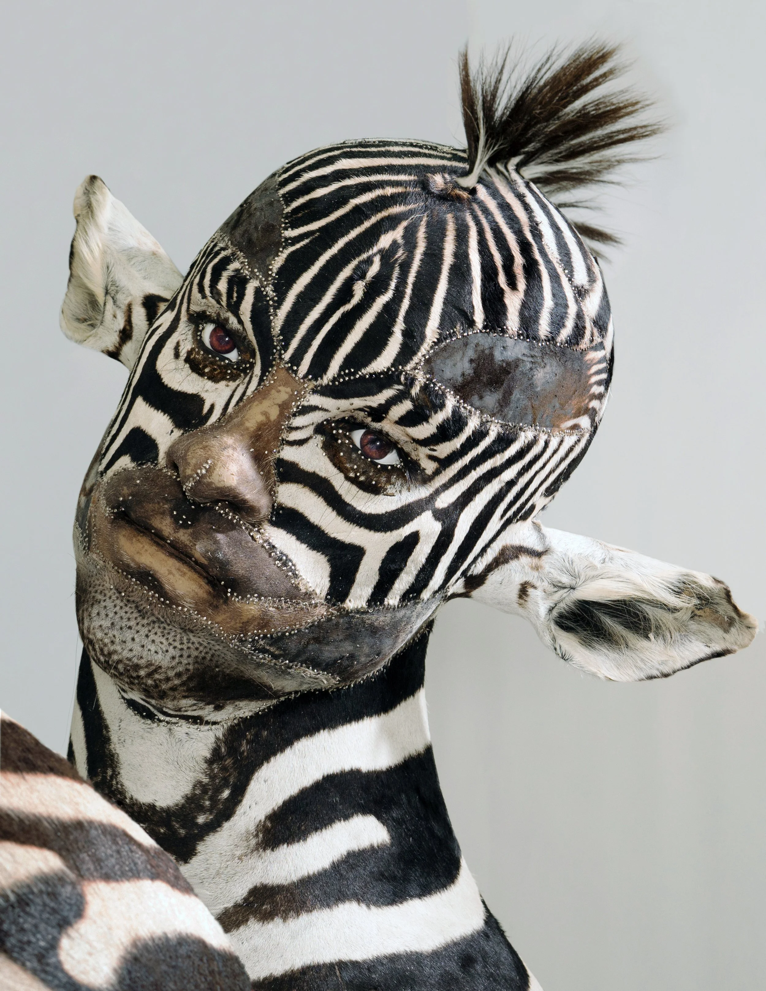 Entangled DETAIL1.jpg