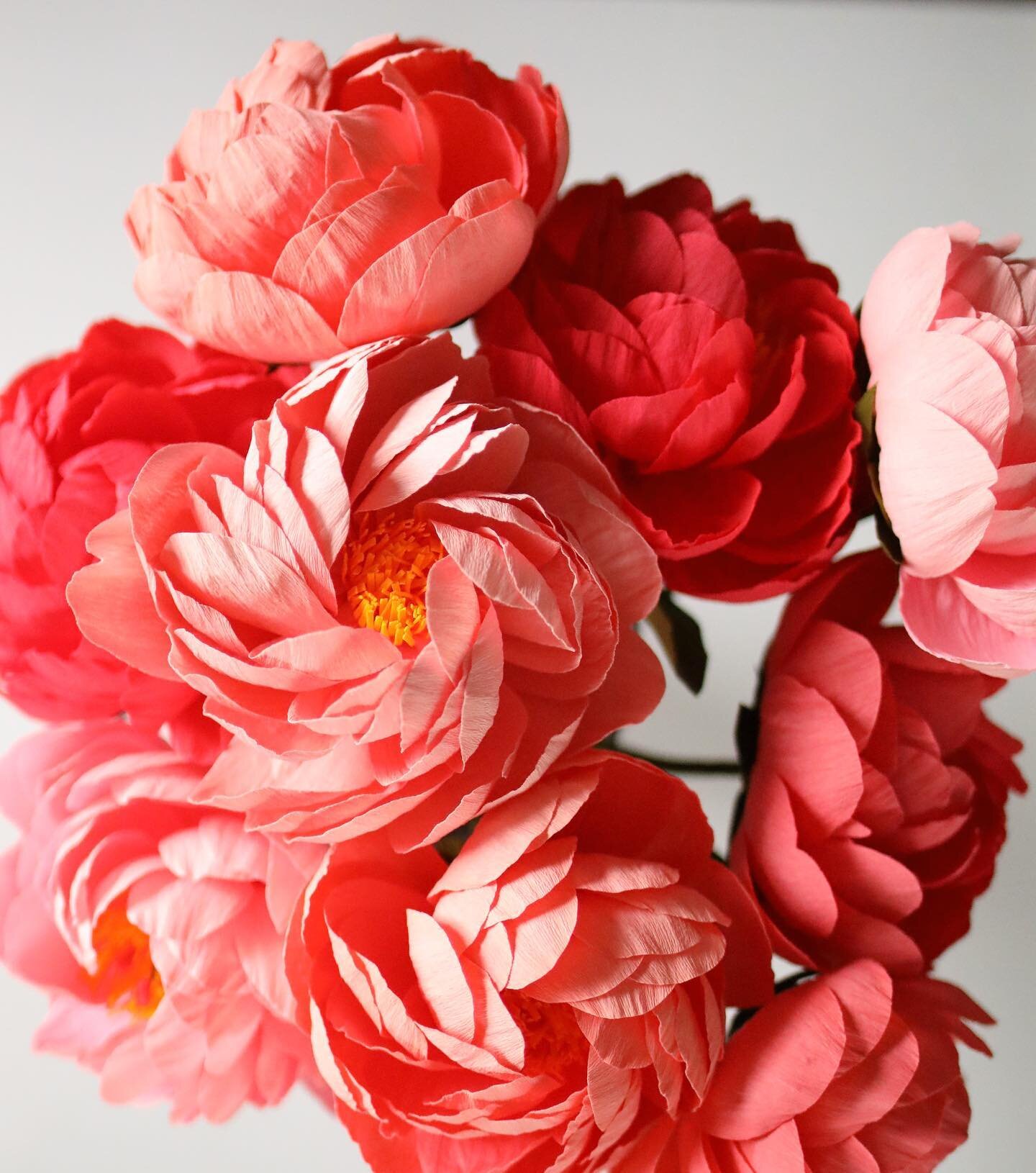 Coral Charms, anyone?! Love these vibrant colors. Be sure to mark your calendars for the @indianapeonyfestival on May 20th! #crepepaperflowers #paperflowers #paperpeony #peony #coralcharmpeony #coralcharm #indianapapercompany #paperartist #paperart #