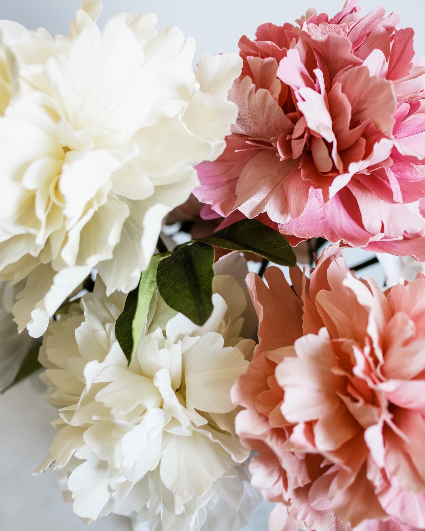 Peonies galore! Can&rsquo;t wait to have these make their debut at the @indianapeonyfestival on May 20! #crepepaperflowers #paperflowers #paperpeonies #peonies #paperartist #paperart #paperflorist #peony #paperpeony #indianapeonyfestival #indianapape