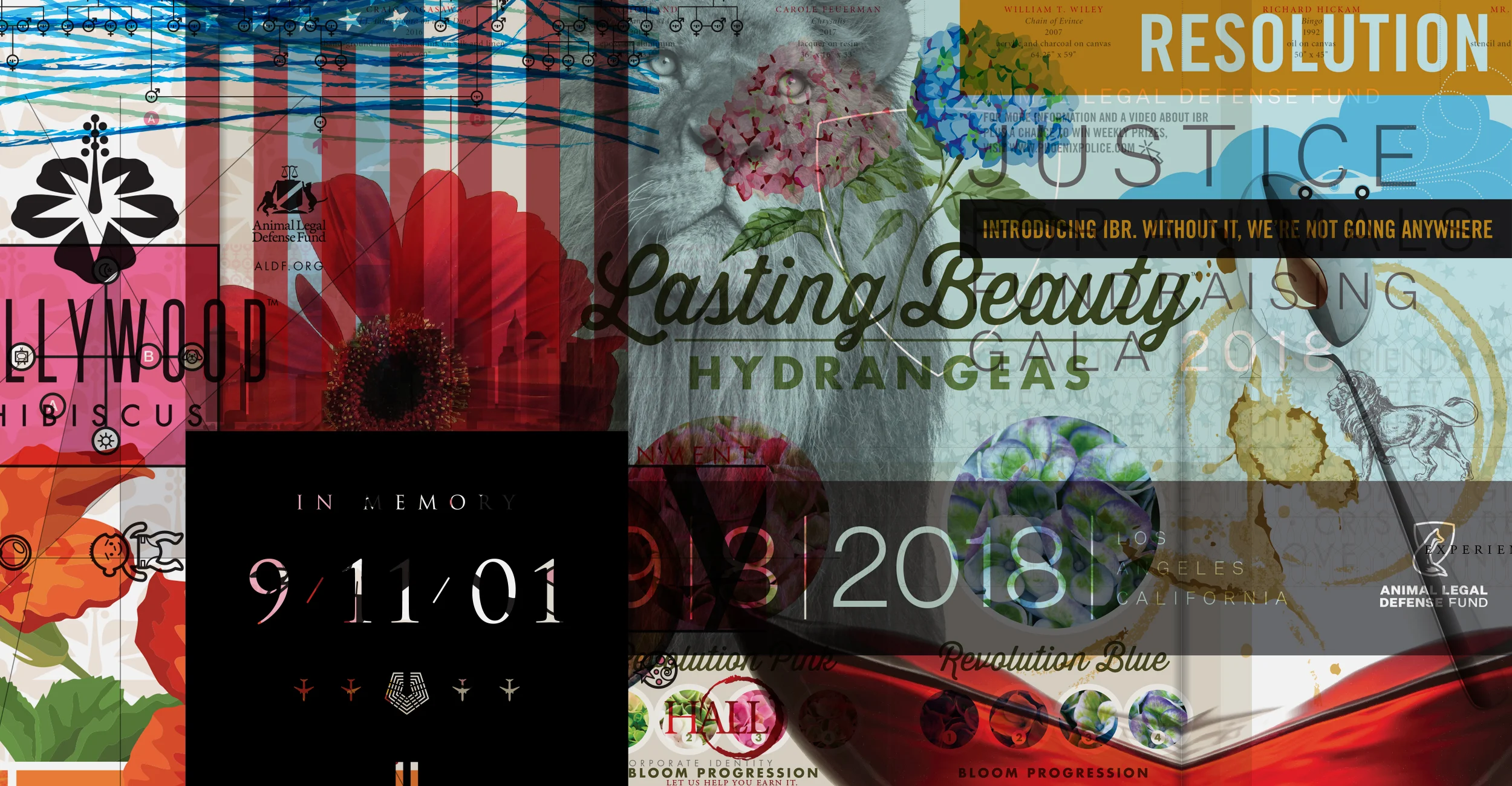 ND-website-graphics-2500-x-2500-Print-Collage-10.28.2018.jpg