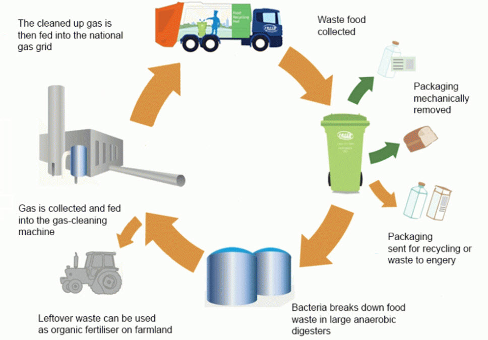 essay on how can food be recycled