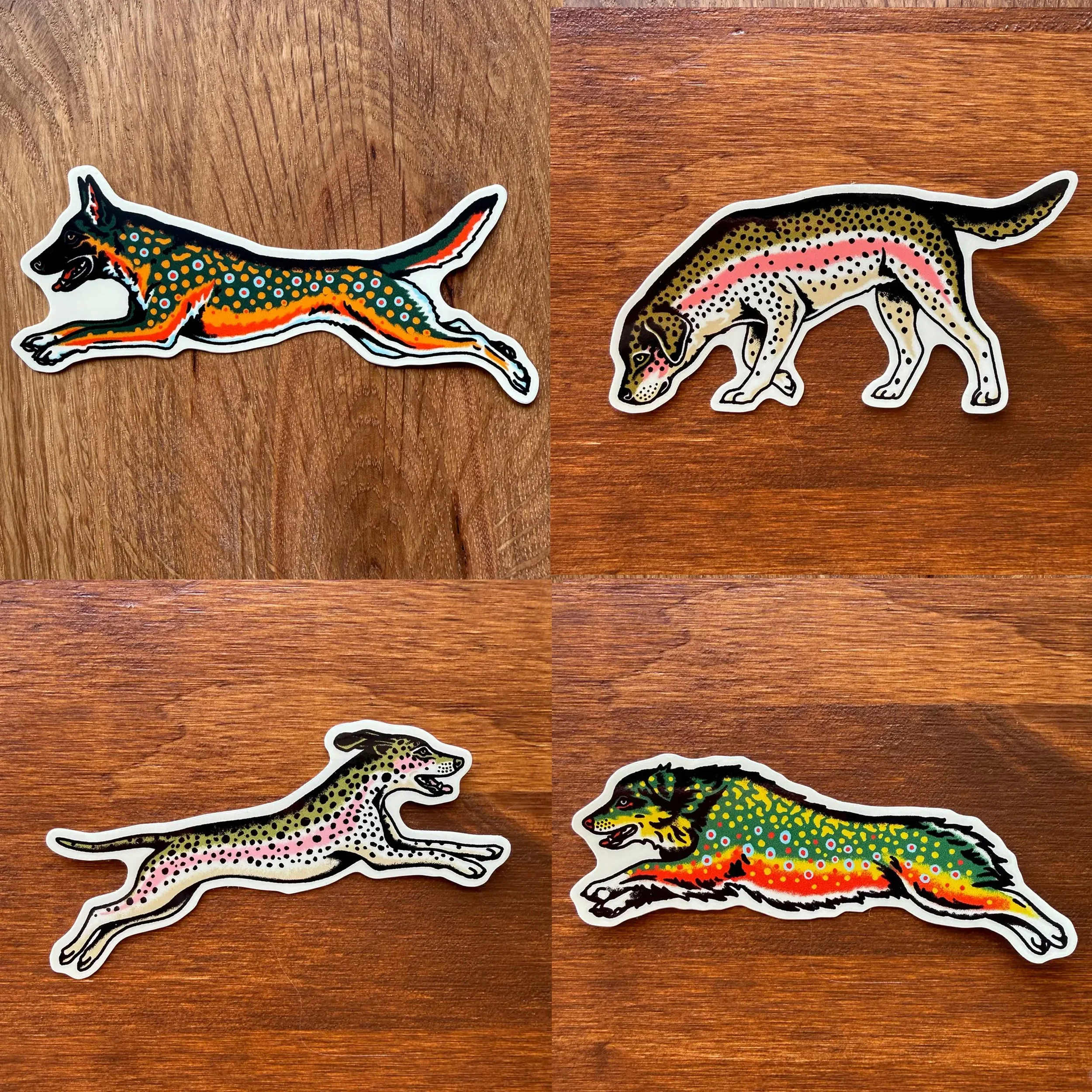 dog trout.jpg