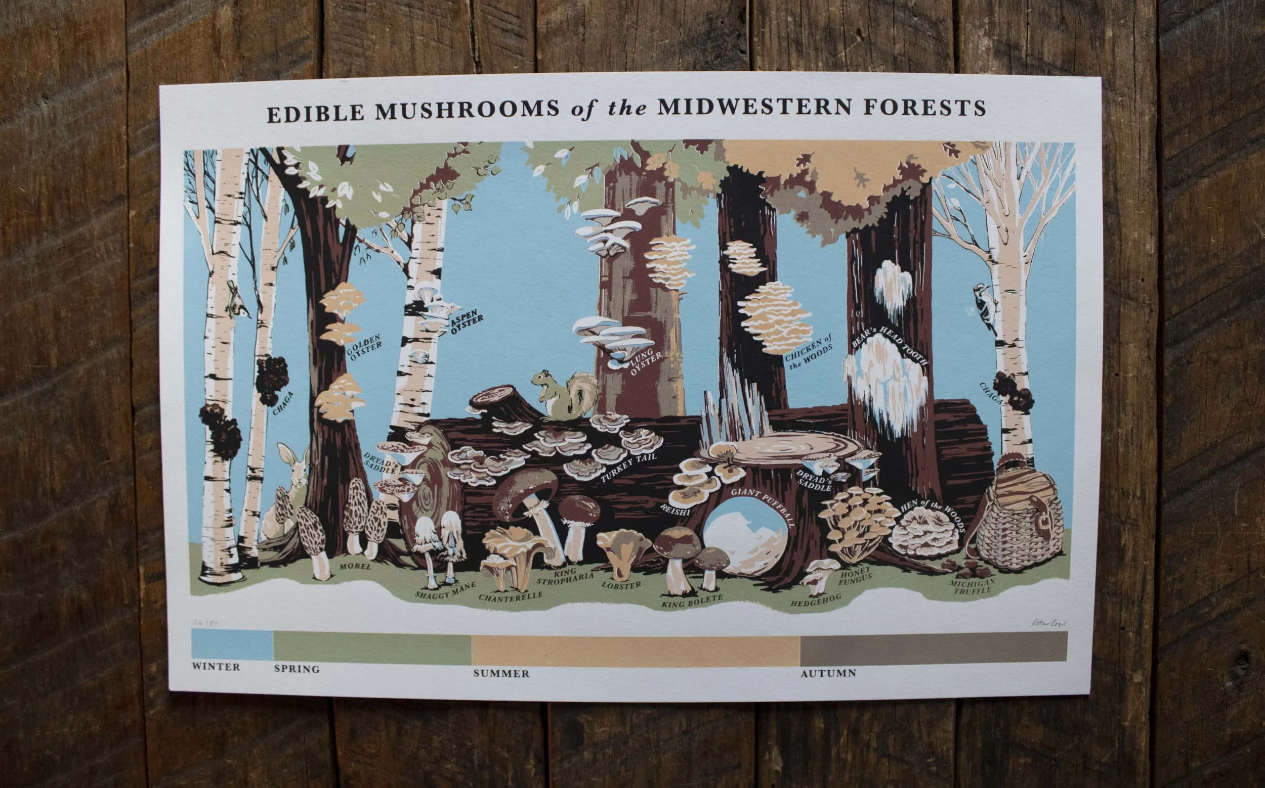 muhs print.jpg