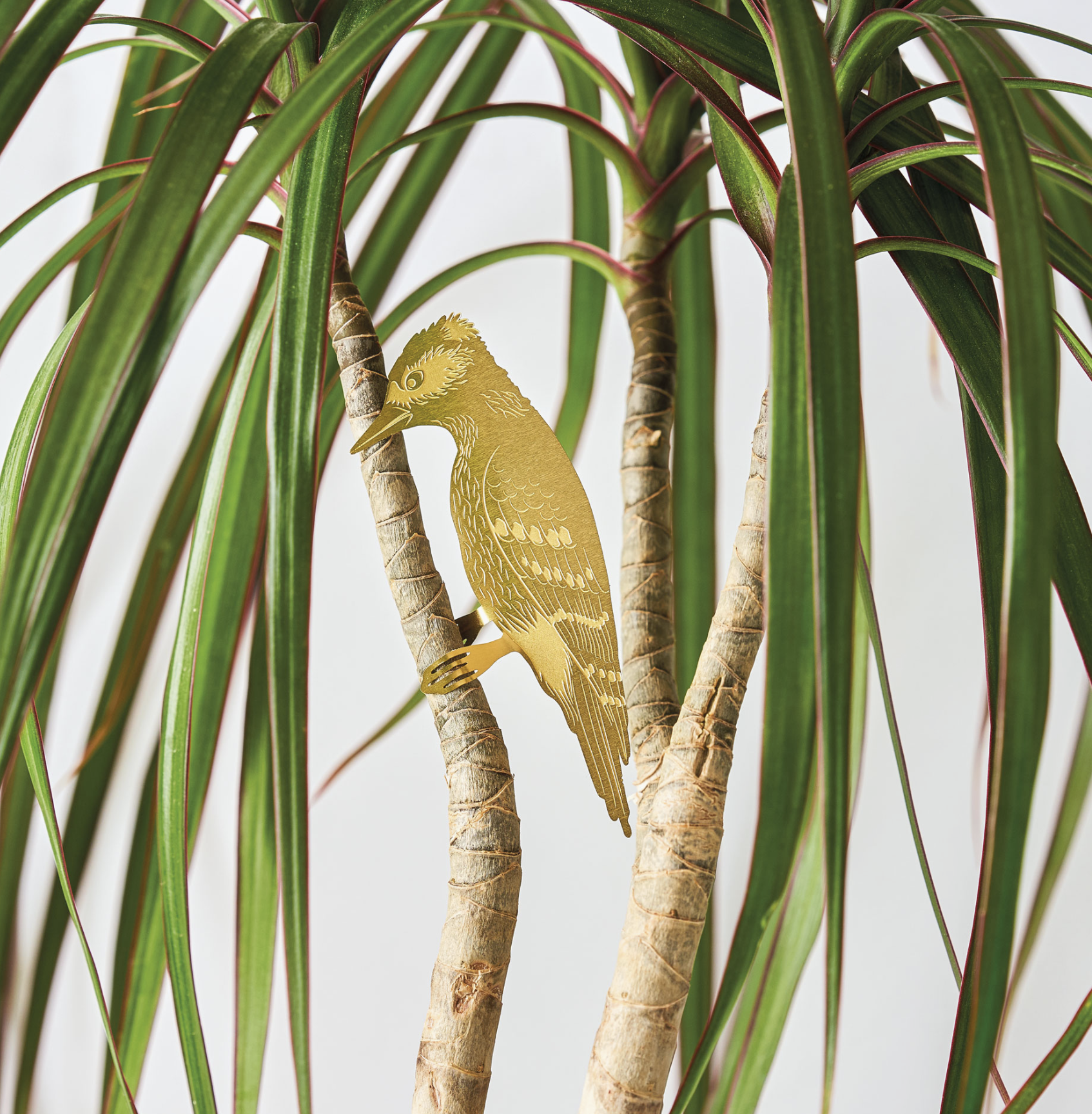 Screen Shot 2024-11-23 at 2.06.26 PM.png