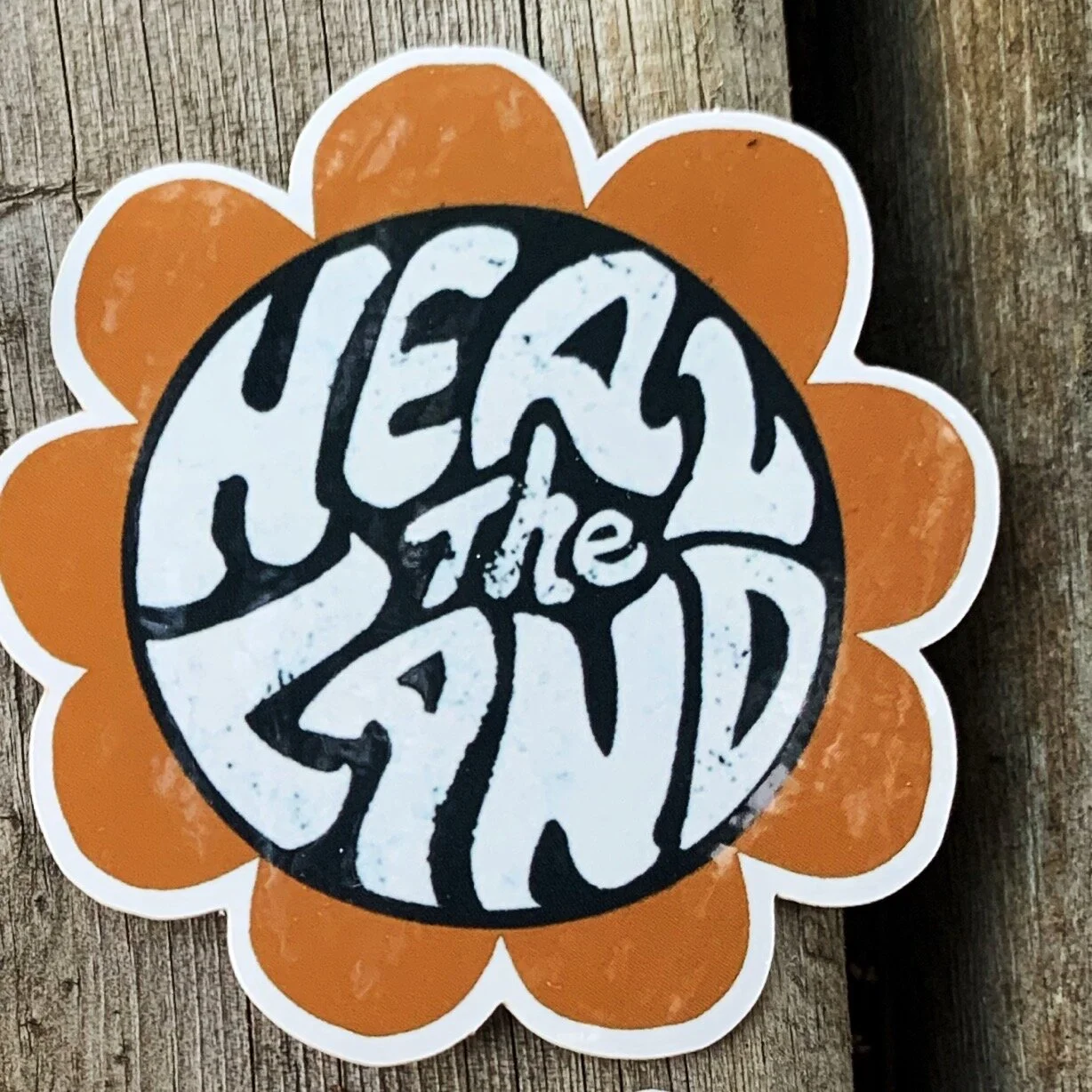 AfterlightImage 138.JPG