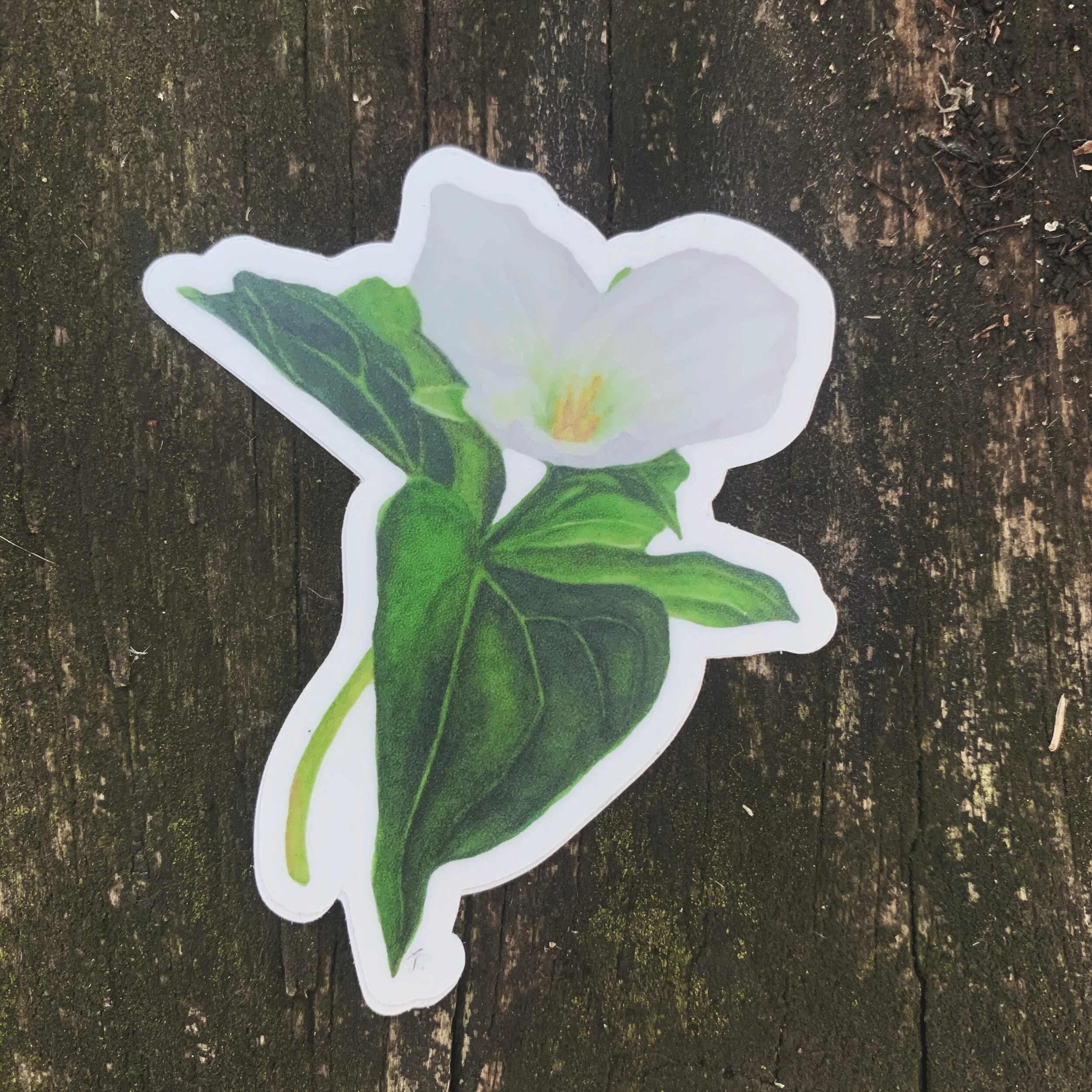 DFEE5C3C-17A9-443C-9EBD-32EE36F8677A