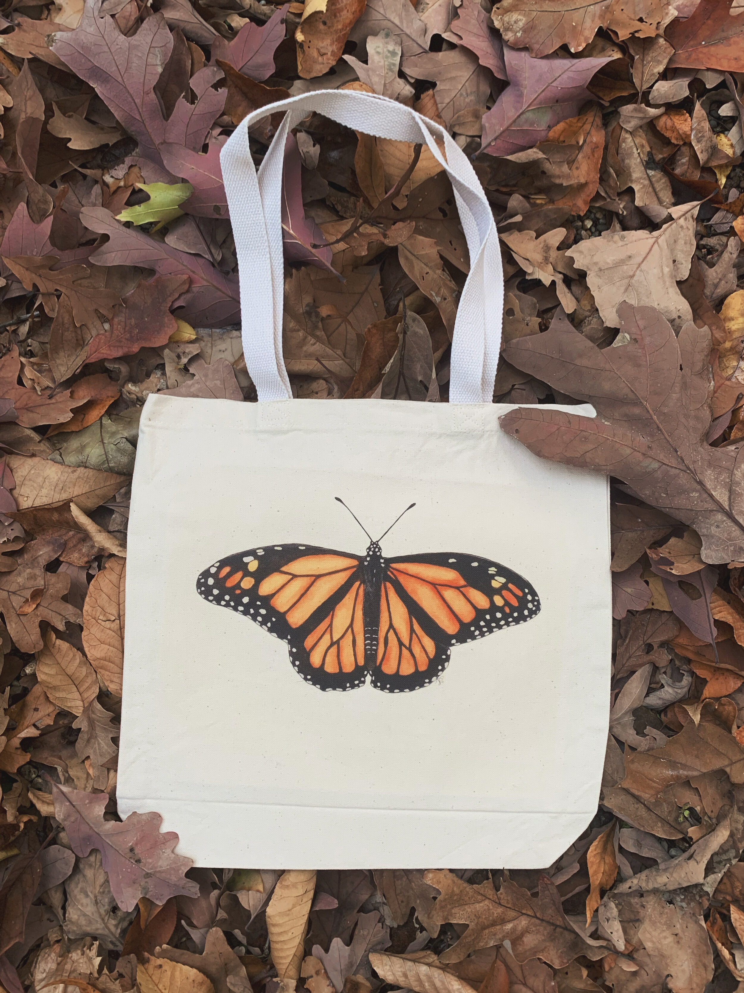 AfterlightImage 156.JPG