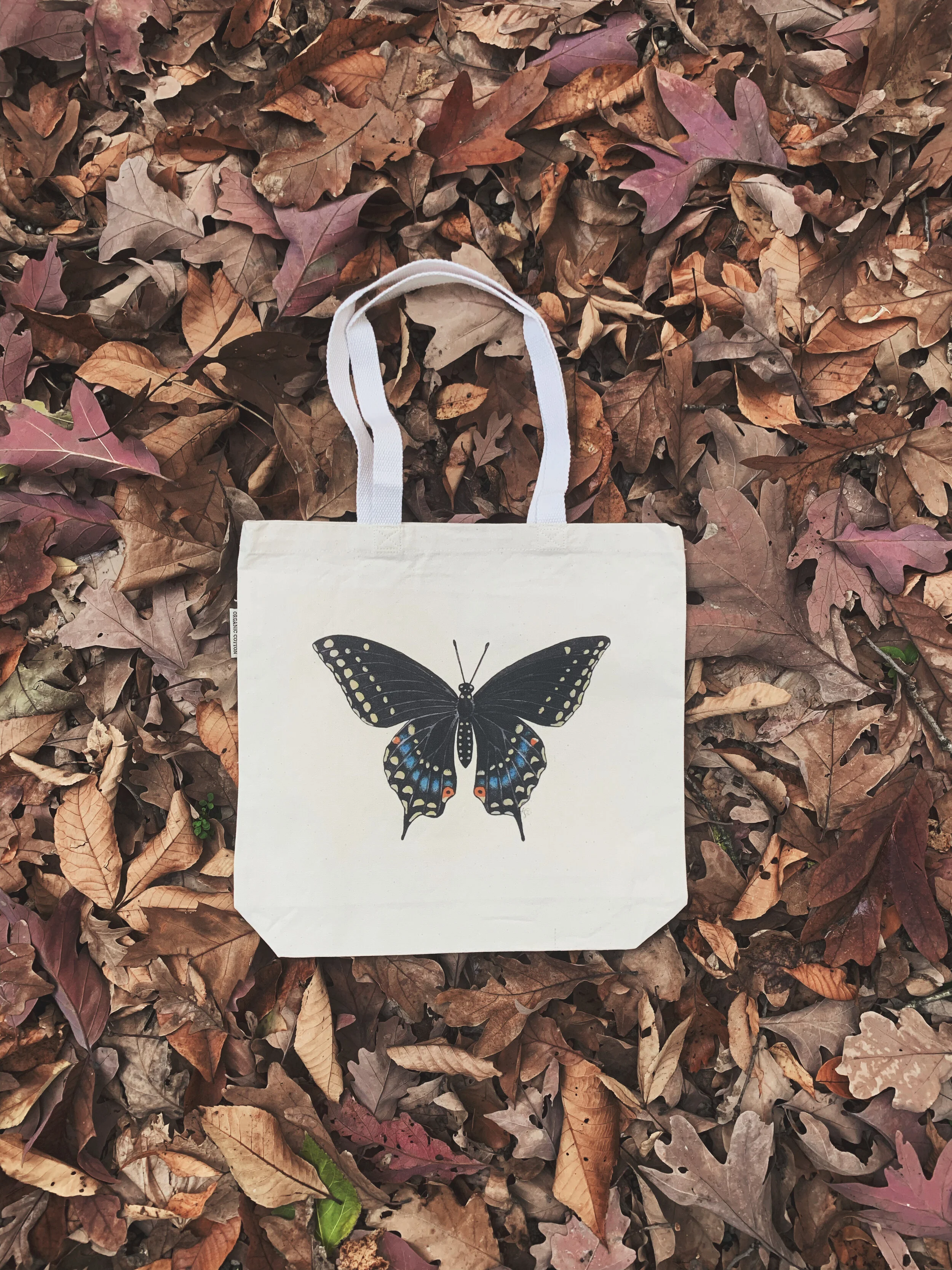 AfterlightImage 155.JPG