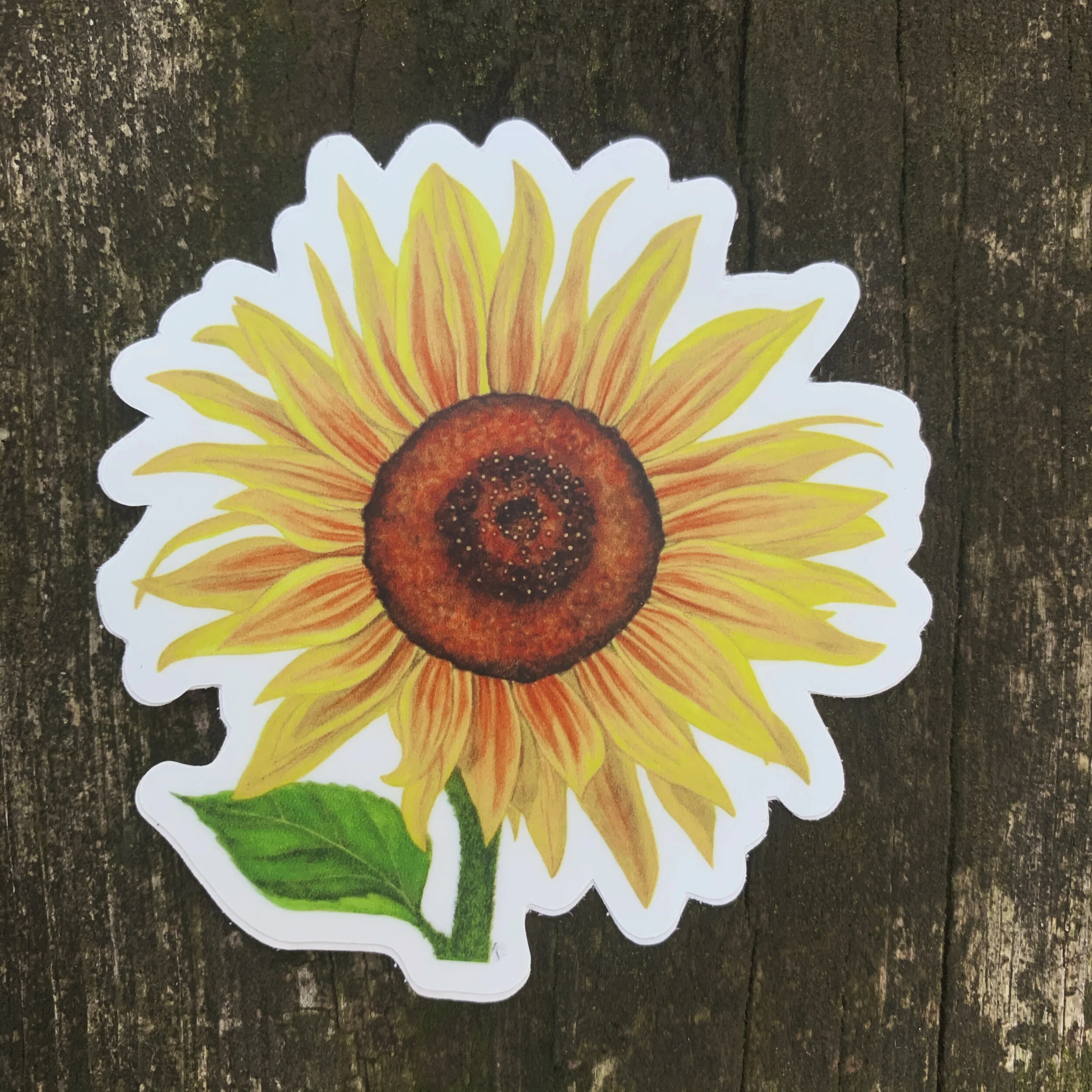 AfterlightImage 152.JPG