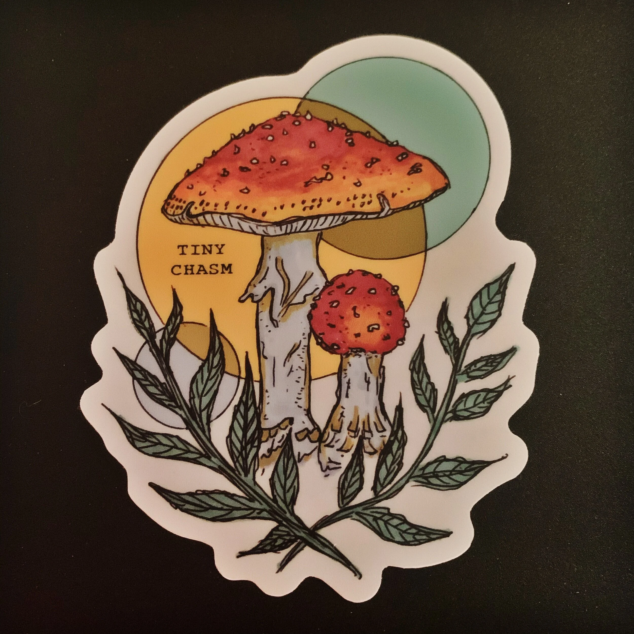 DF279847-3CFC-48CE-B2D6-8D87C3E30C07