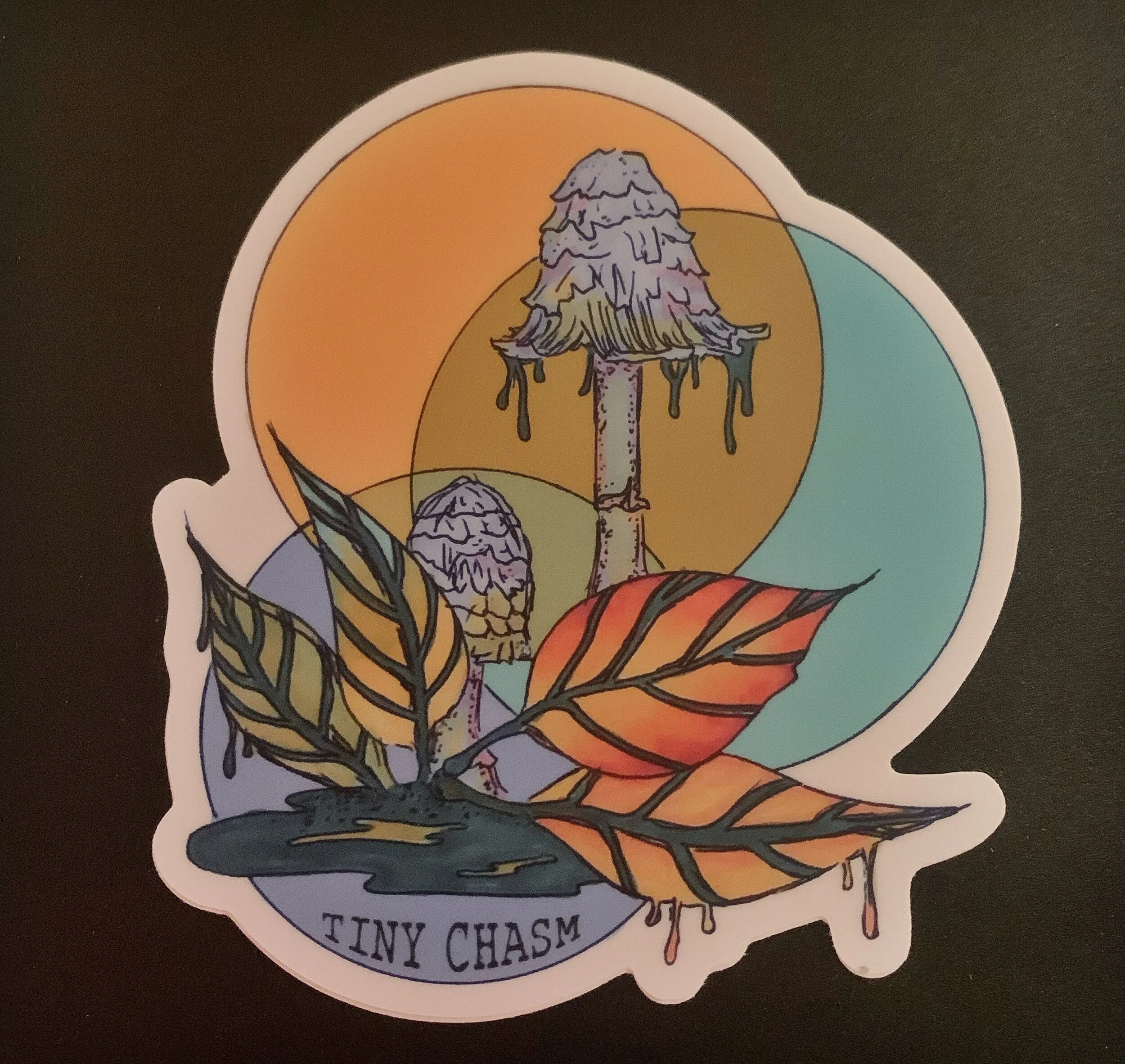 202A5611-DFD5-411E-866C-9EA0D6B09523