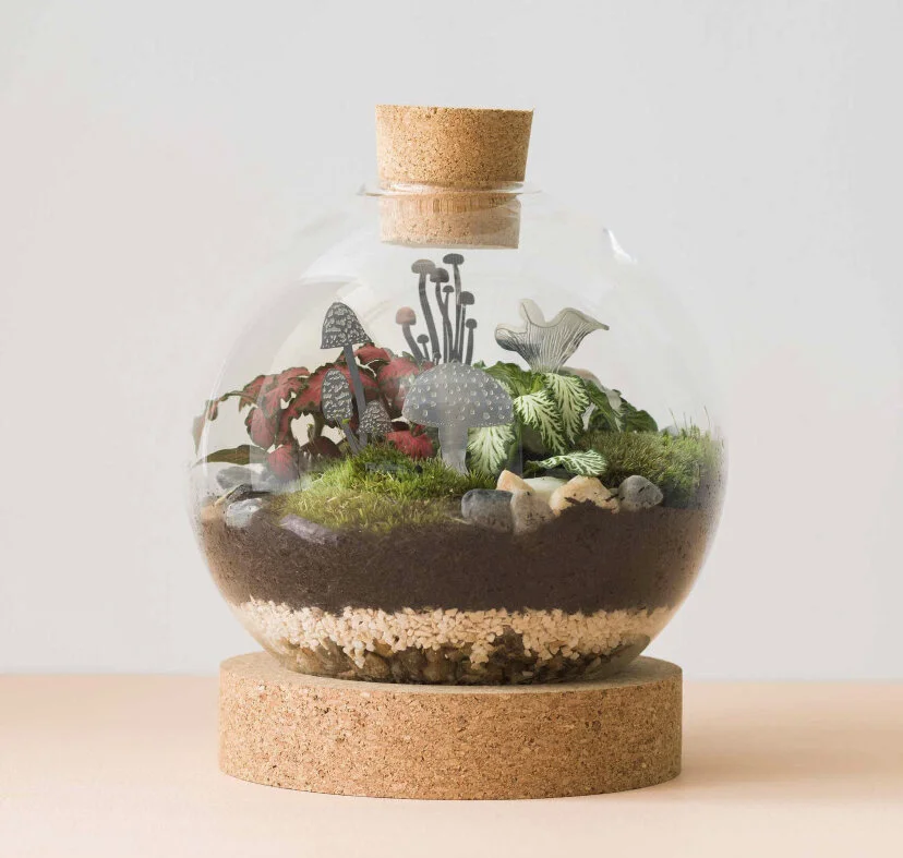 Choosing the right mushrooms for your terrarium