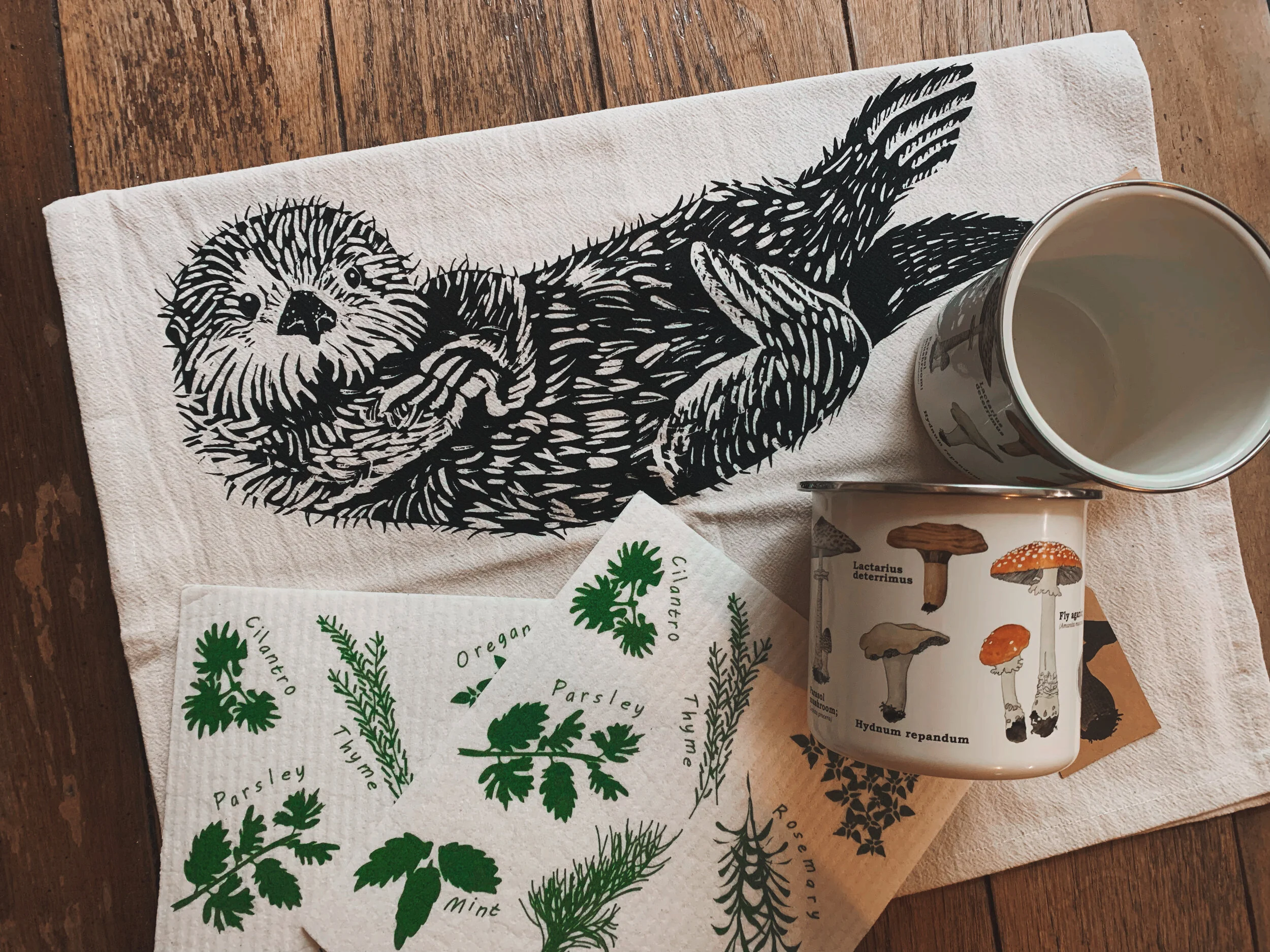 AfterlightImage 228.JPG