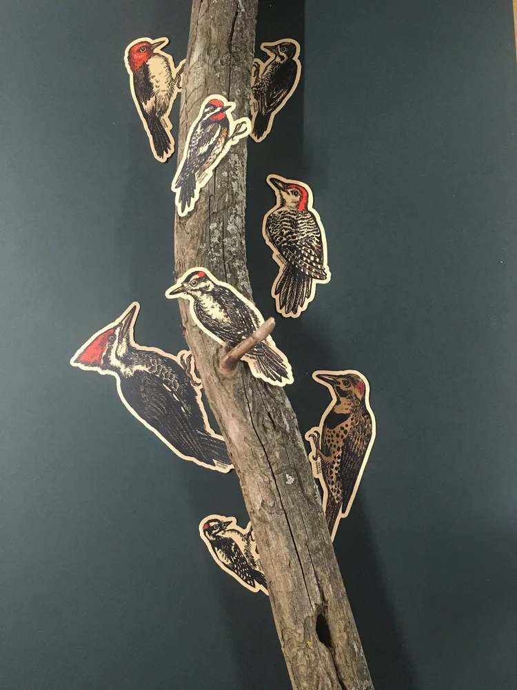 Woodpecker Brd Wldlfe Vnyl Decal Stcker Wall Door Wndow Car Van