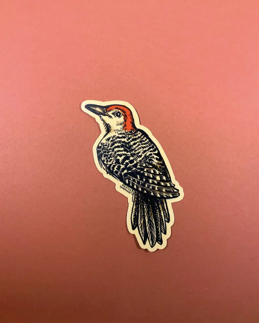 E3E8E8C7-3D06-41D4-B538-9931AFDD22CB