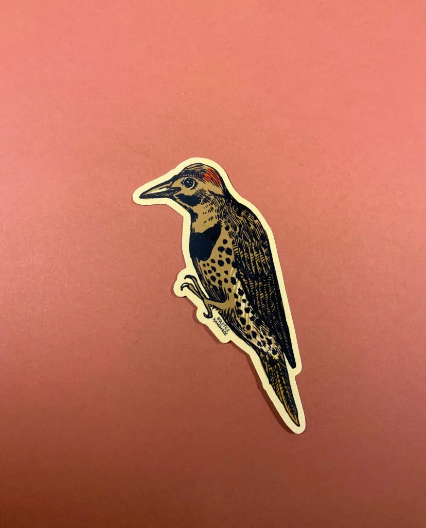 503110C2-DFFE-42E7-93D7-93A12ABD13AC