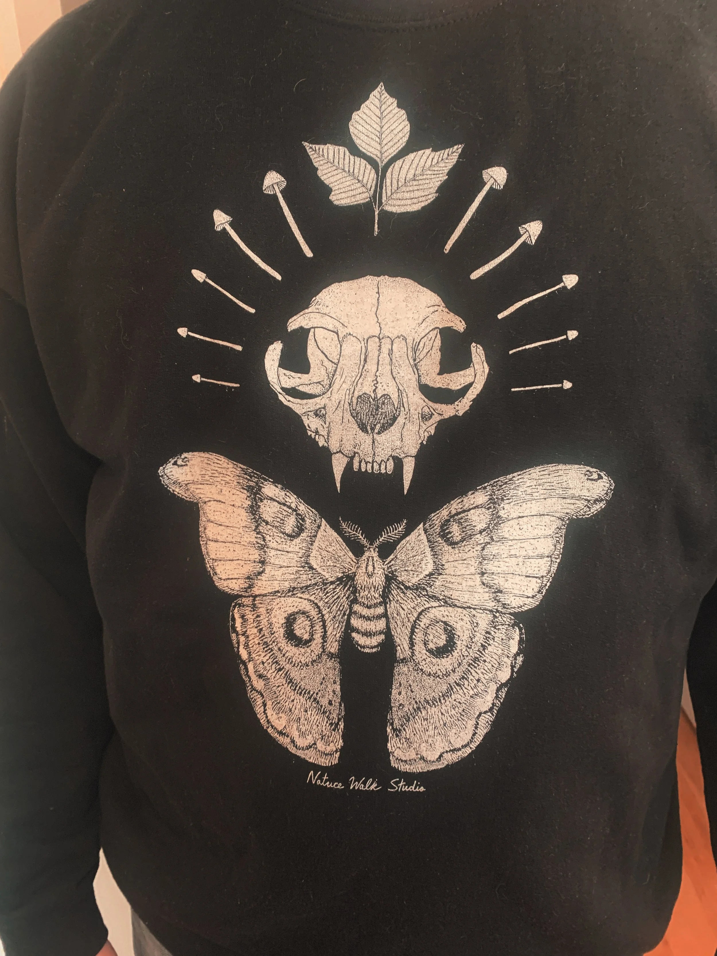 AfterlightImage 22.JPG