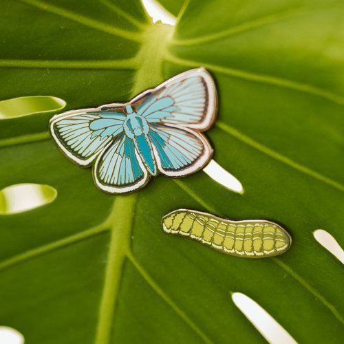 Karner Blue Butterfly Pin Set — NATURE WALK