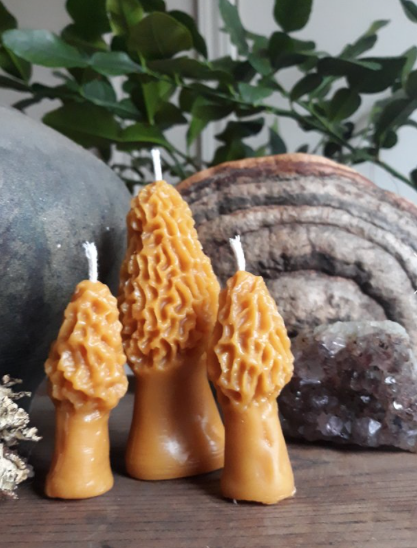 Screen Shot 2022-12-11 at 10.27.48 PM.png