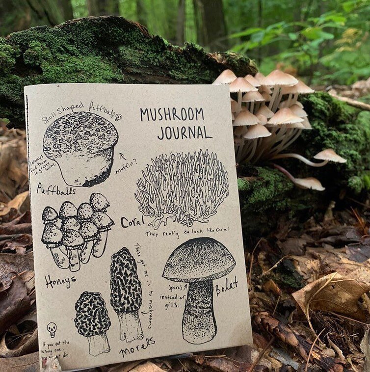 Morels are popping! Perfect time for Mushroom Foraging Journals! A good place to keep all of your notes on where to find your favorite fungi! Illustrated, printed, &amp; finished with sewn binding in house by Nature Walk Studio. Find them up on our W
