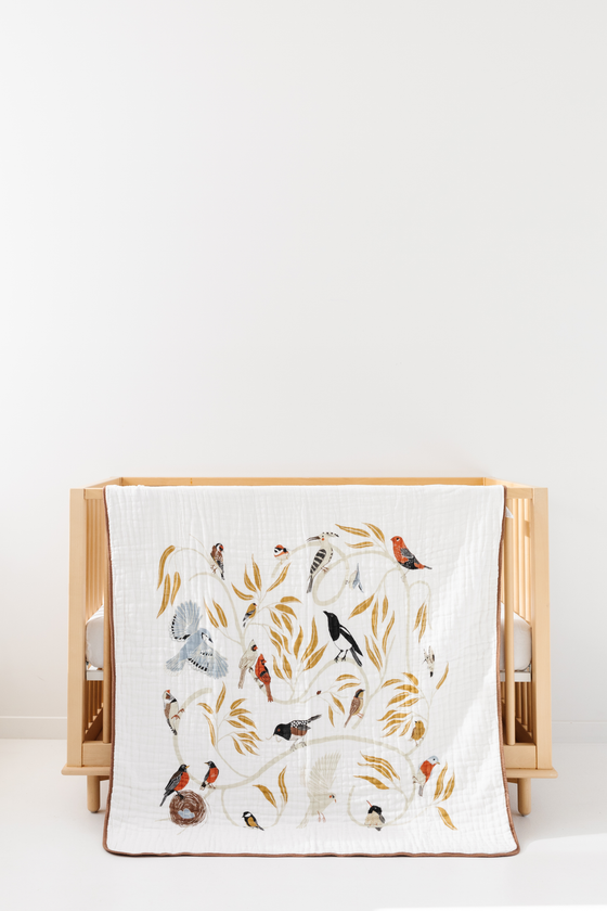 clementinebirds-109_560x.png
