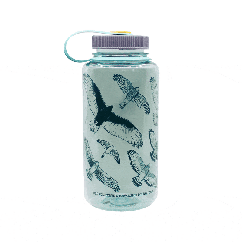 hawks-in-flight-nalgene-water-bottle-seafoam-626488_800x.gif