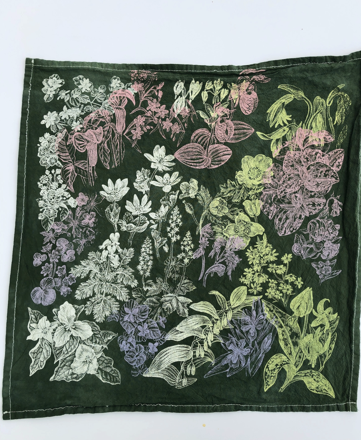 Screen Shot 2025-12-20 at 11.48.51 AM.png