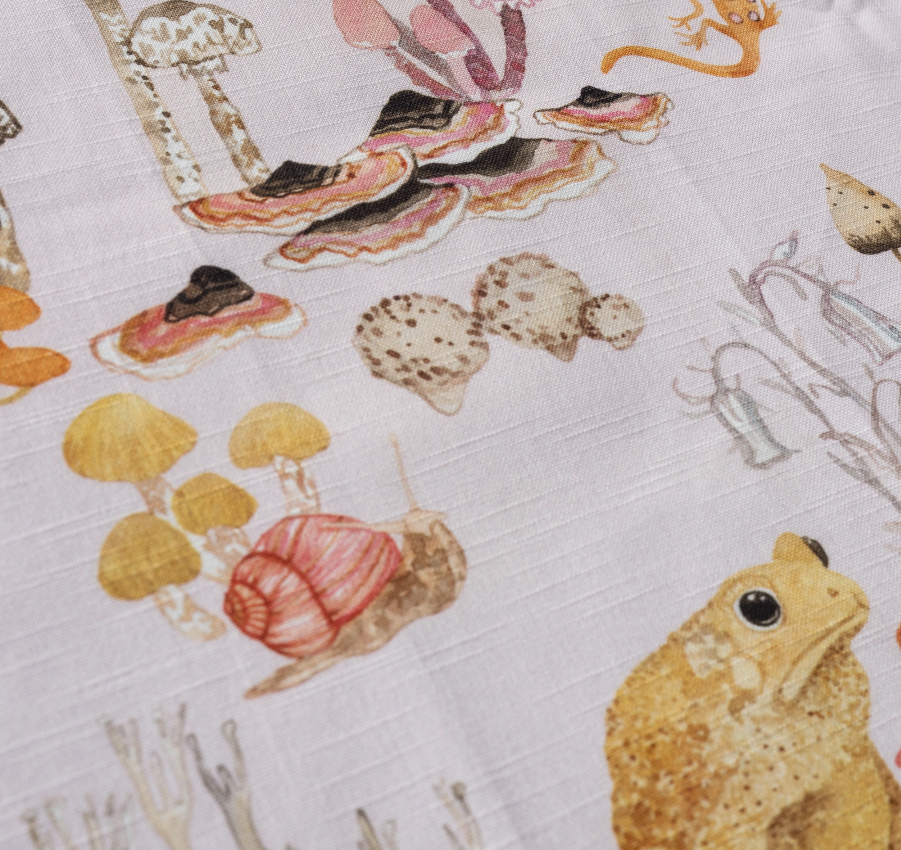 Screen Shot 2024-11-25 at 2.42.47 PM.png