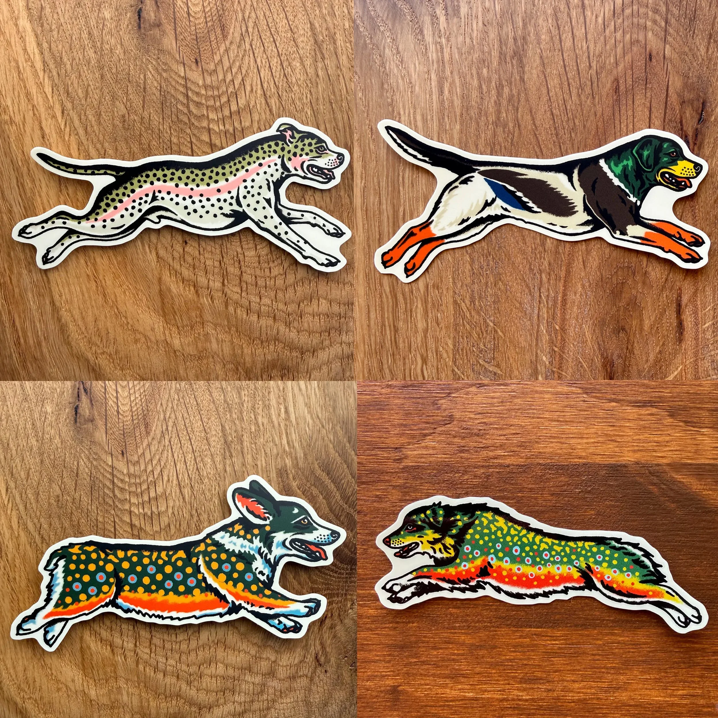 dogtrout2.jpg