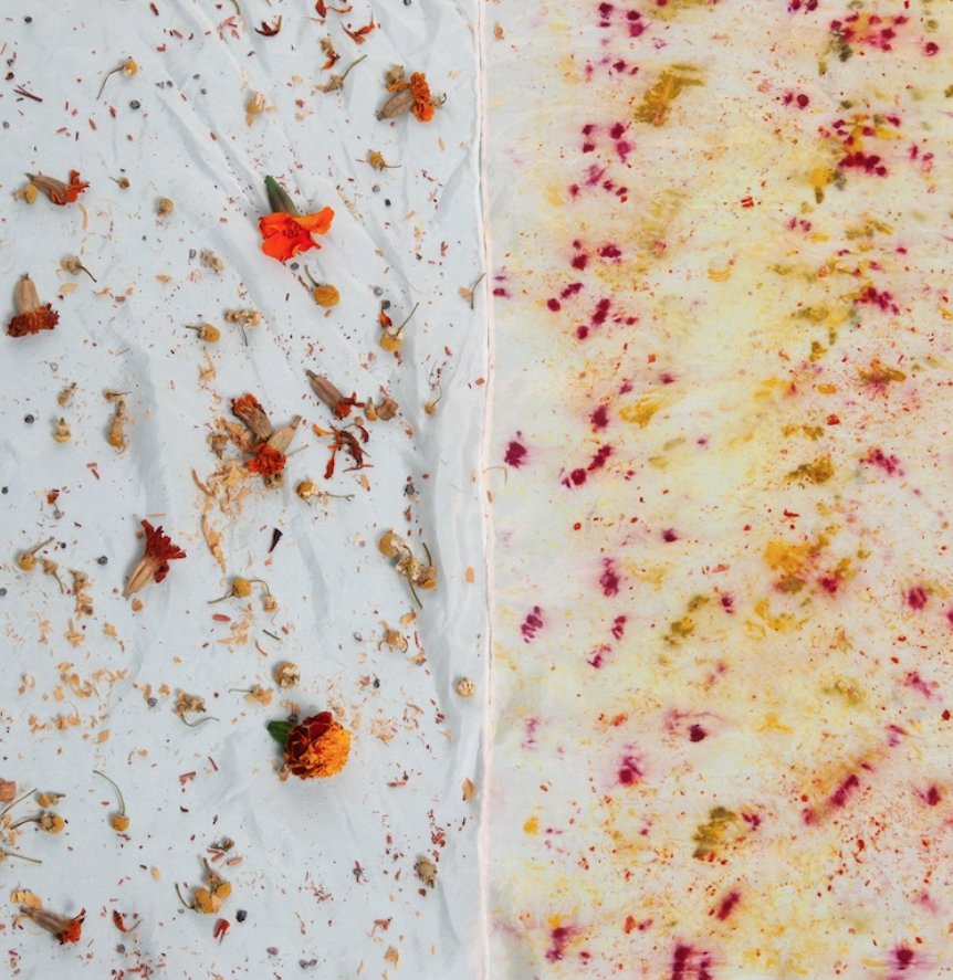 Screen Shot 2026-09-30 at 9.26.34 PM.png