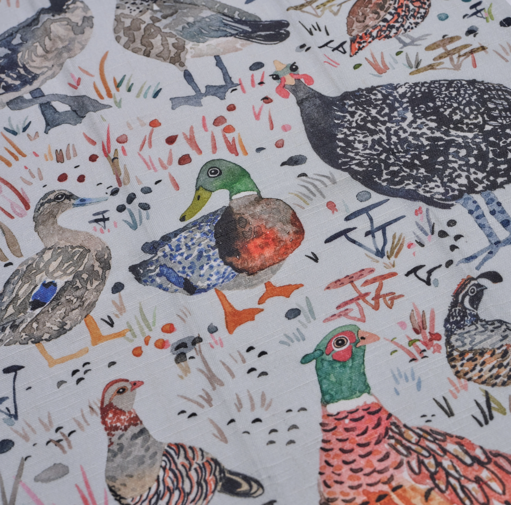 Screen Shot 2024-11-25 at 2.41.03 PM.png