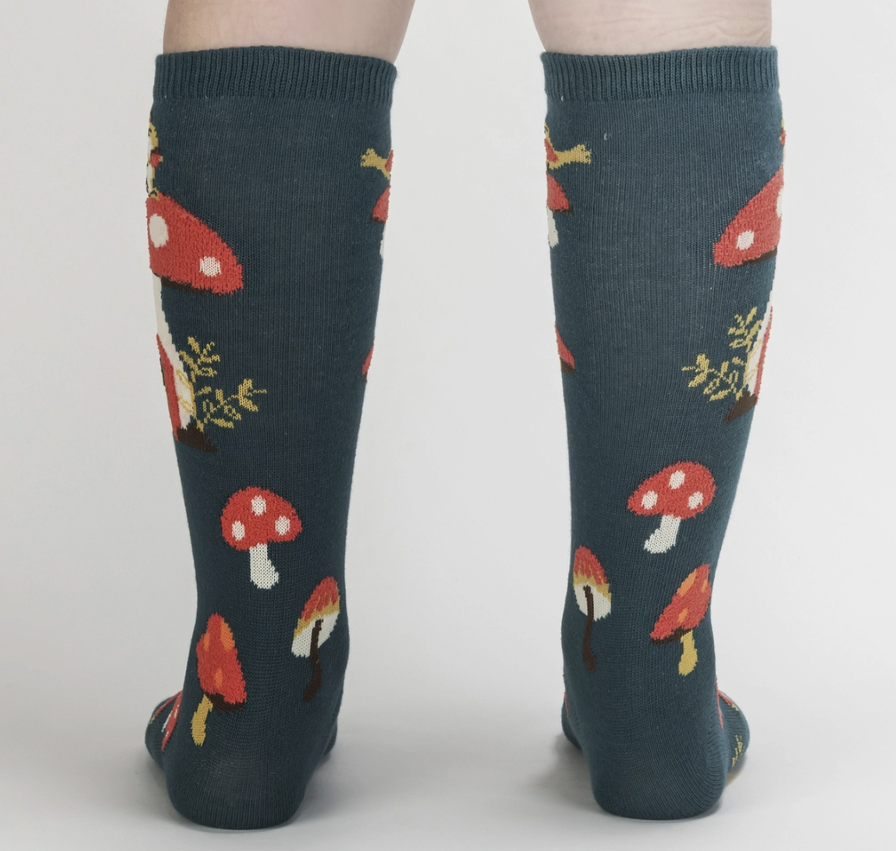 Screen Shot 2024-11-26 at 12.31.25 PM.png