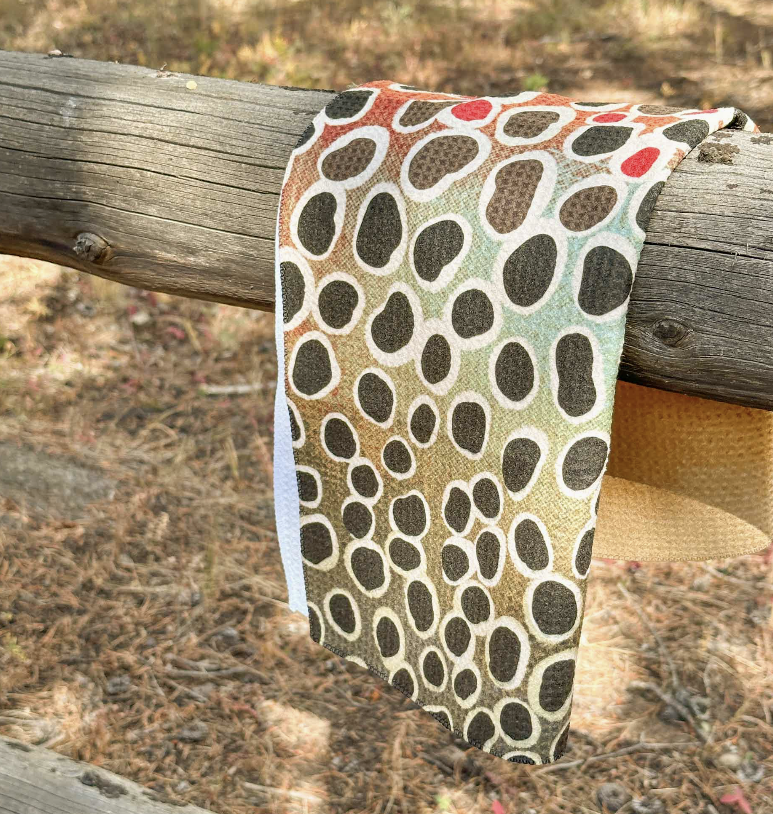 Screen Shot 2025-11-20 at 8.49.51 AM.png