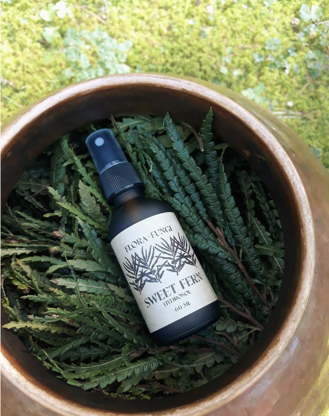 Screen Shot 2025-09-07 at 6.23.42 PM.png