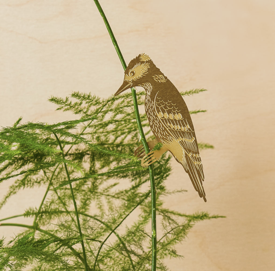 Screen Shot 2024-11-23 at 2.06.37 PM.png