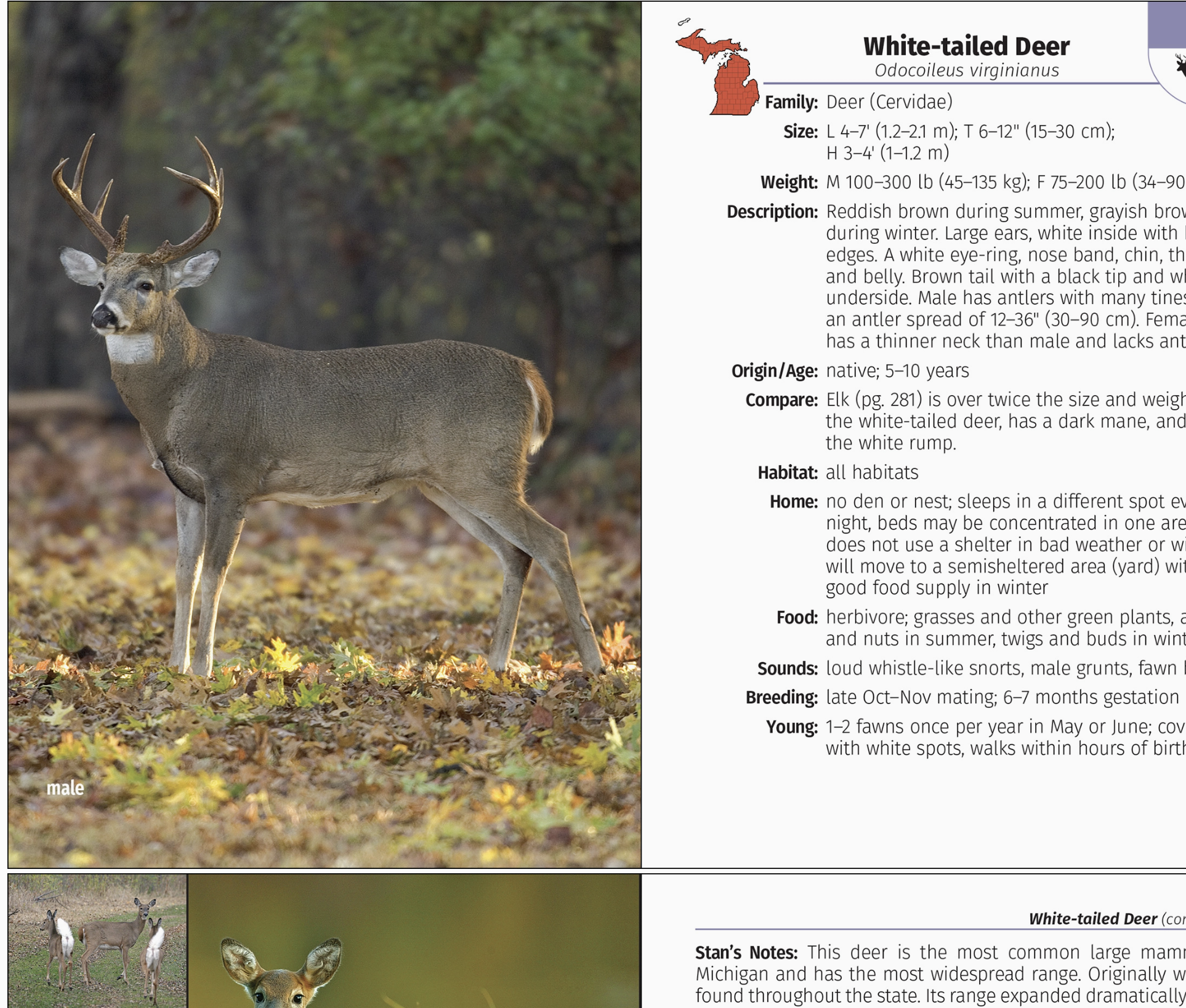 Screen Shot 2025-11-25 at 7.37.40 PM.png