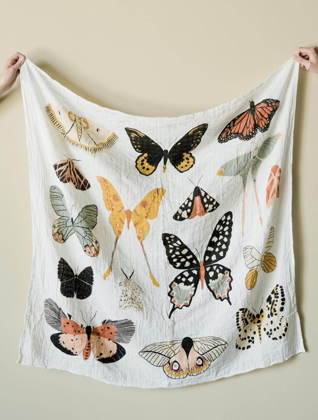 Screen Shot 2026-02-23 at 6.23.31 PM.png