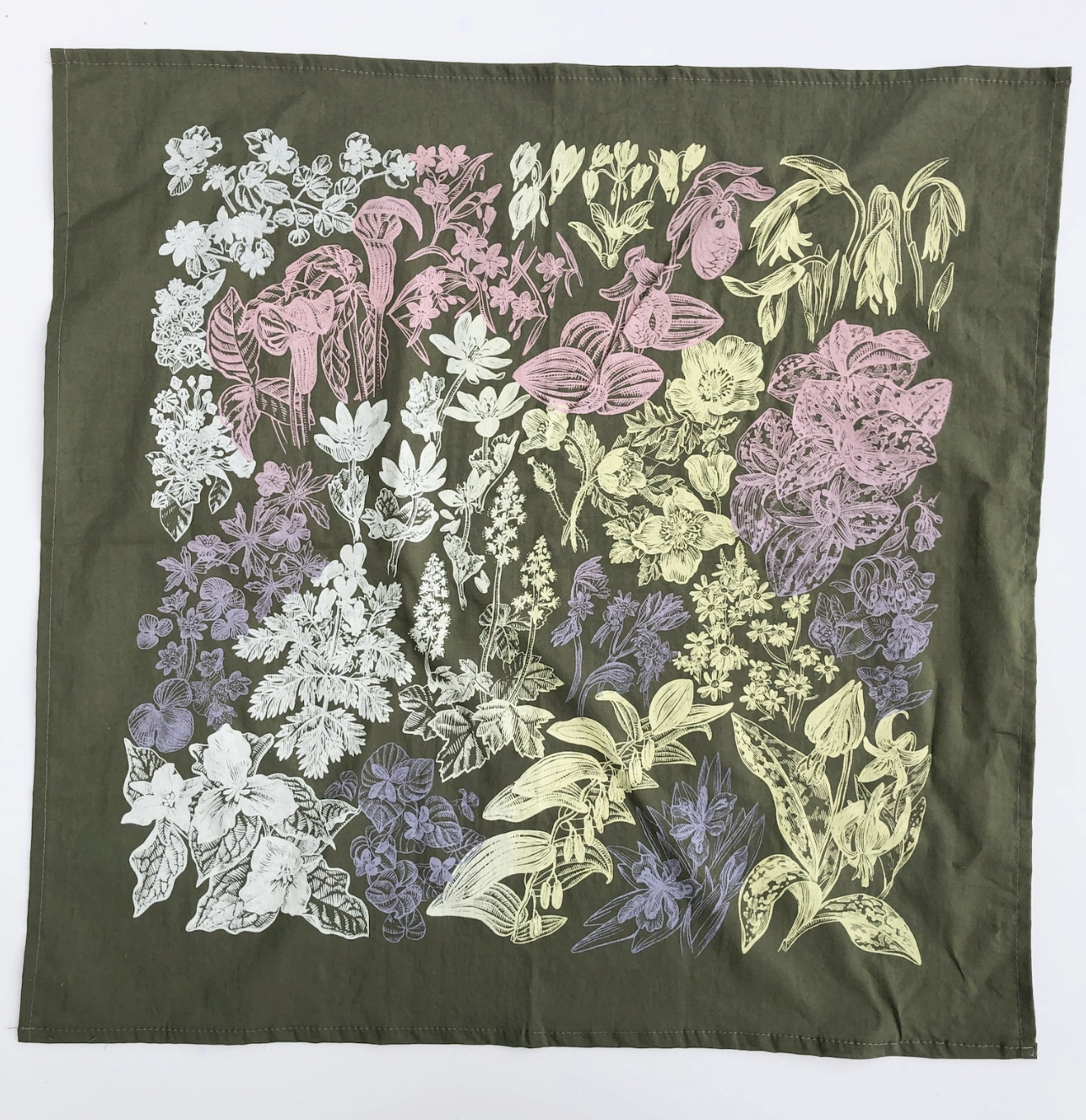 Screen Shot 2025-07-16 at 7.54.58 AM.png