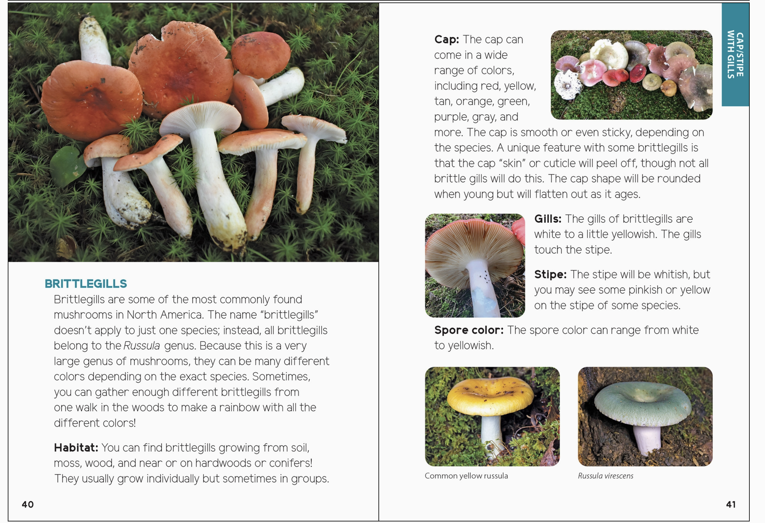 Screen Shot 2025-09-07 at 5.32.44 PM.png