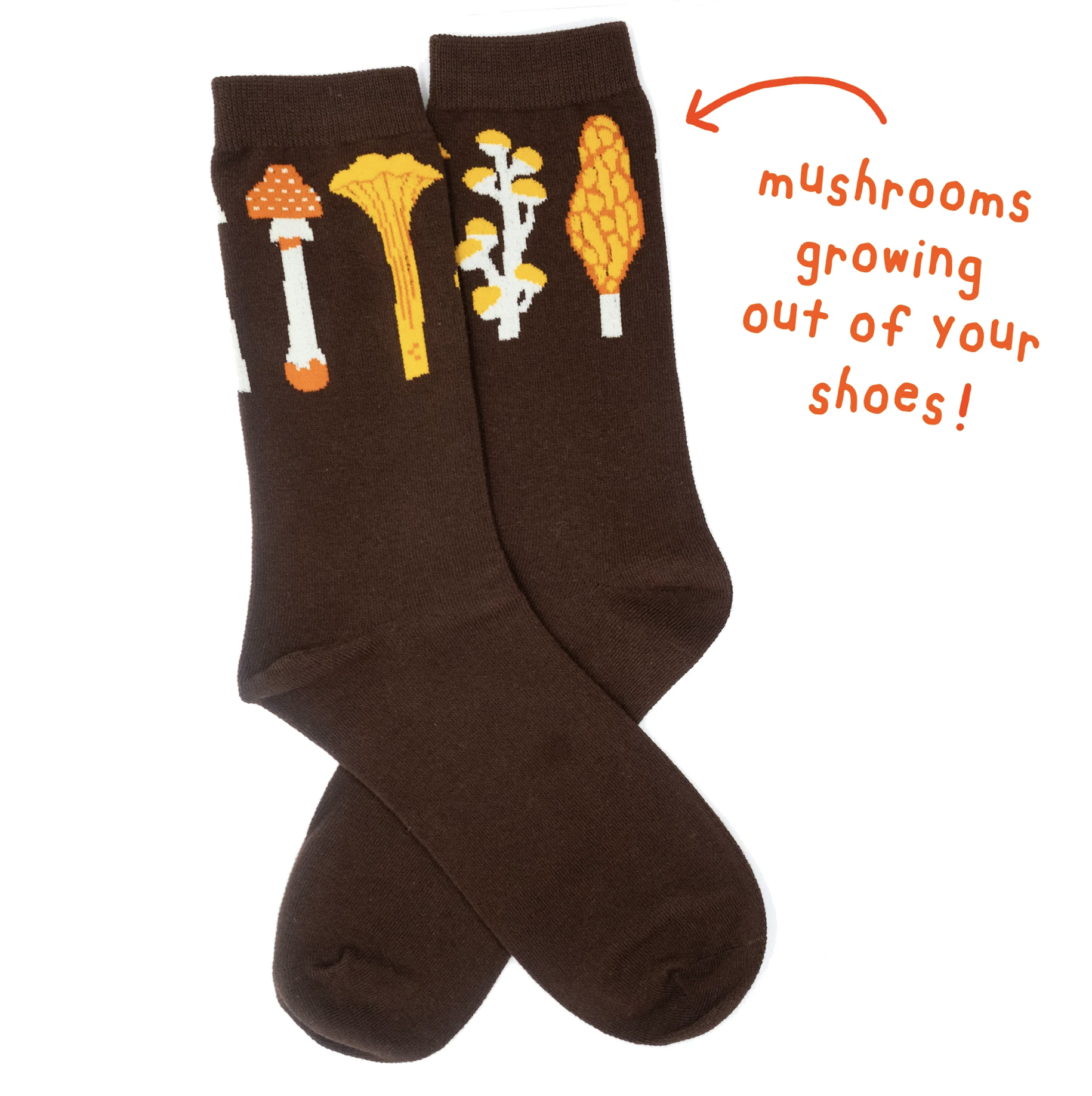 Screen Shot 2024-08-22 at 11.40.32 AM.png