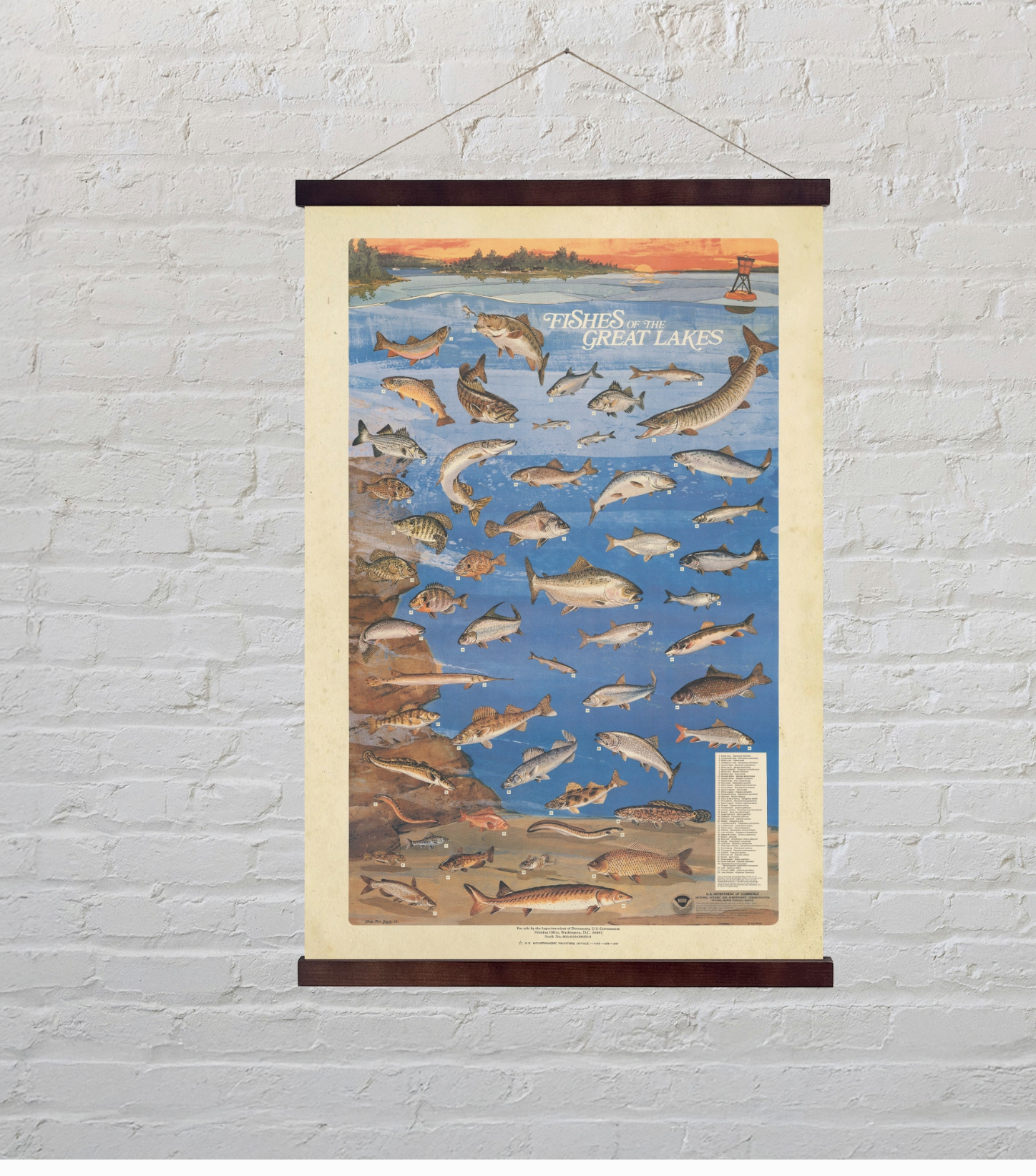 Screen Shot 2025-11-11 at 9.37.44 AM.png